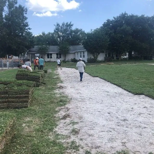 thumbnail for publication: Establishing Your Florida Lawn